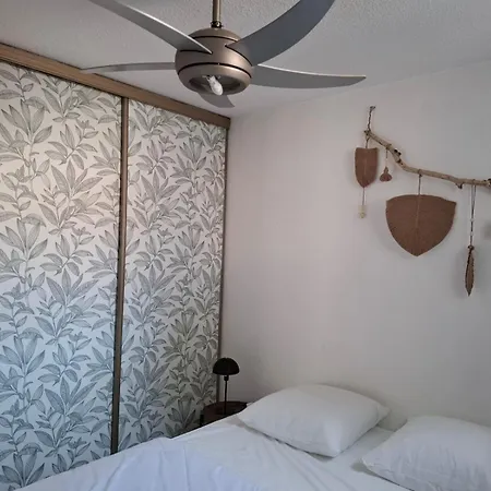 L'olivier Des Claires Marines *