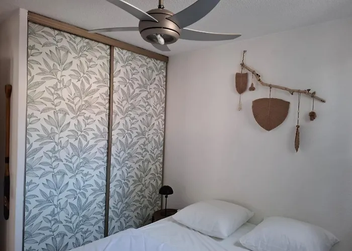 L'olivier Des Claires Marines *